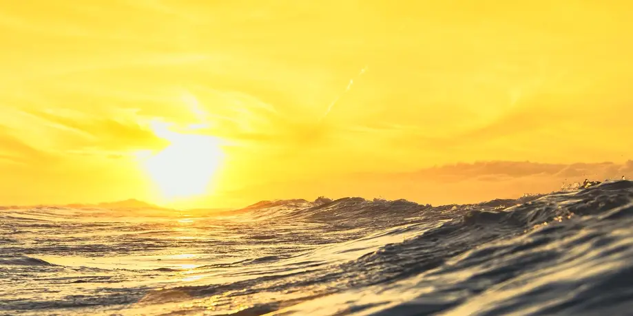 BYOB Booze/Sunset Cruise