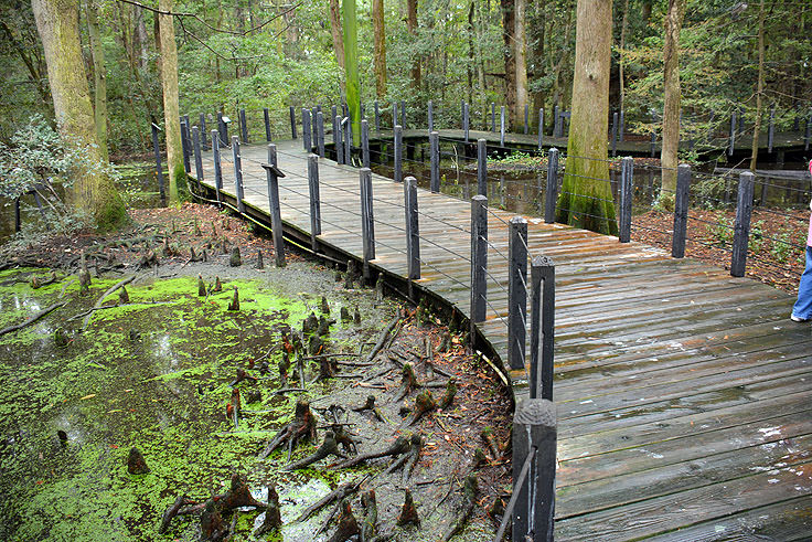 Brookgreen Gardens in Murrell's Inlet, SC